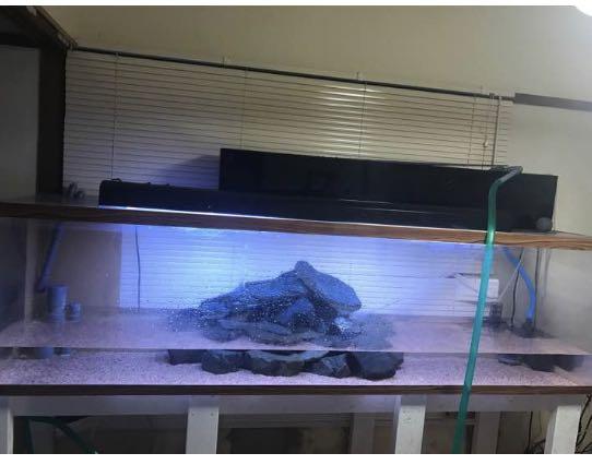 引き取り限定　大型アクリル水槽1500✖︎600✖︎600 水槽 アクリル水槽 1500×600×600mm 板厚:13×13×10mm 底背側面板