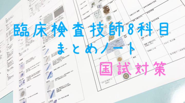 臨床検査技師 国家試験 全7教科 過去問 対策 まとめ ノート 値下げ】臨床検査技師 国家試験 7教科 過去問 対策 まとめ