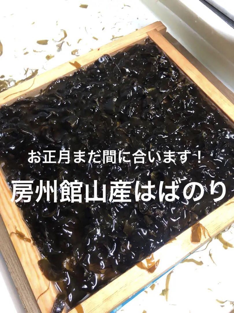 2024年今期初採れ◼️房州館山産はばのり10枚◼️ haba-main.jpg