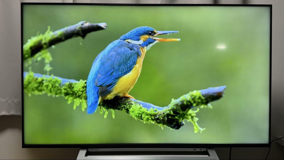 4K液晶テレビ 東芝 REGZA レグザ 50M540X 50V型 50インチ