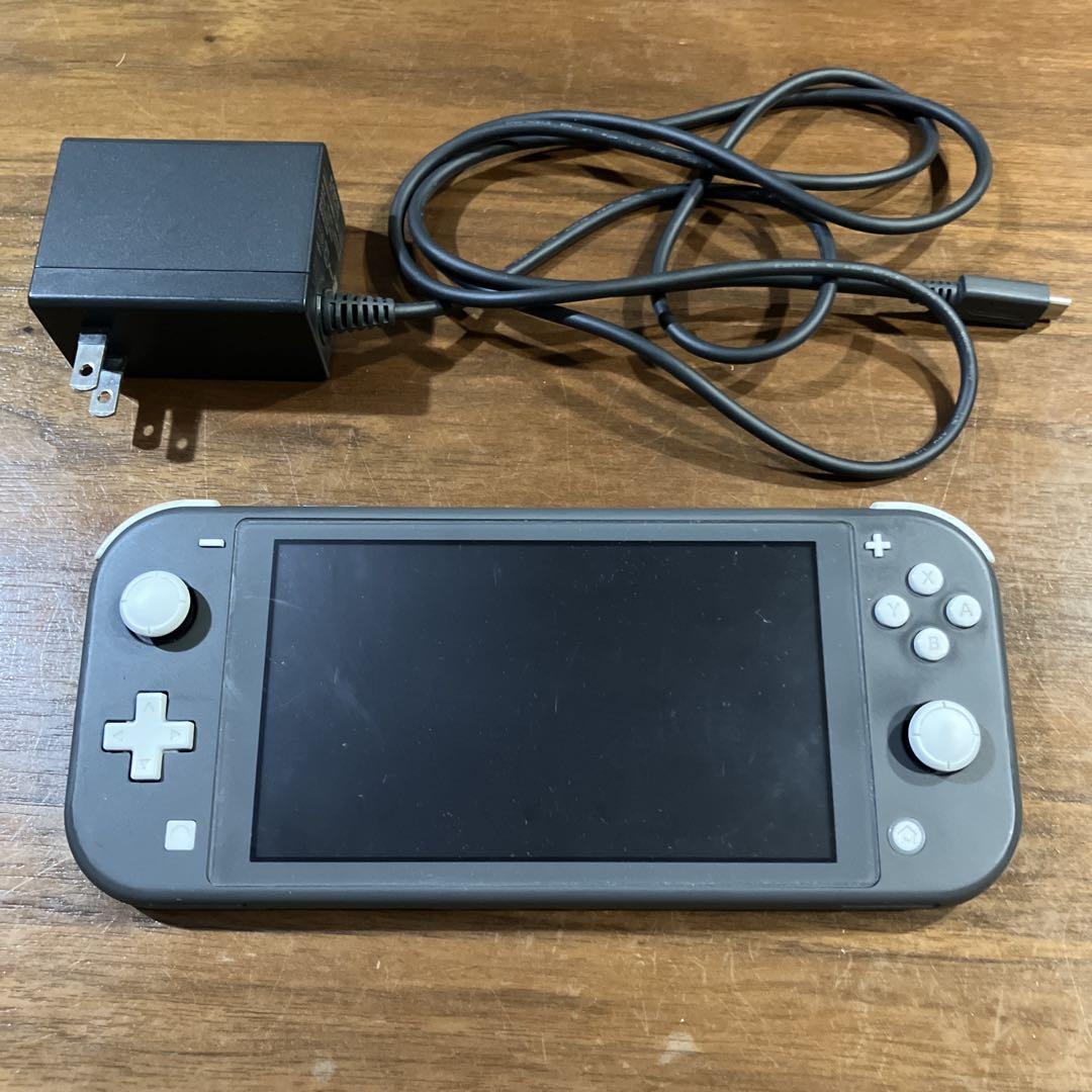 Nintendo Switch Lite 本体 ジャンク 充電器（人気絶頂 Lite