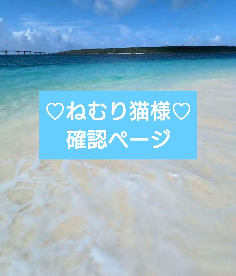 ♡ねむり猫様確認ページ♡ ♡ねむり猫様確認ページ♡ （送料180円】ねむりねこダイカット
