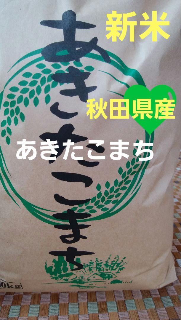 秋田県産　あきたこまち　玄米　10キロ　【低農薬　低化学肥料】 秋田県産 あきたこまち 玄米 10キロ 【低農薬 低化学肥料