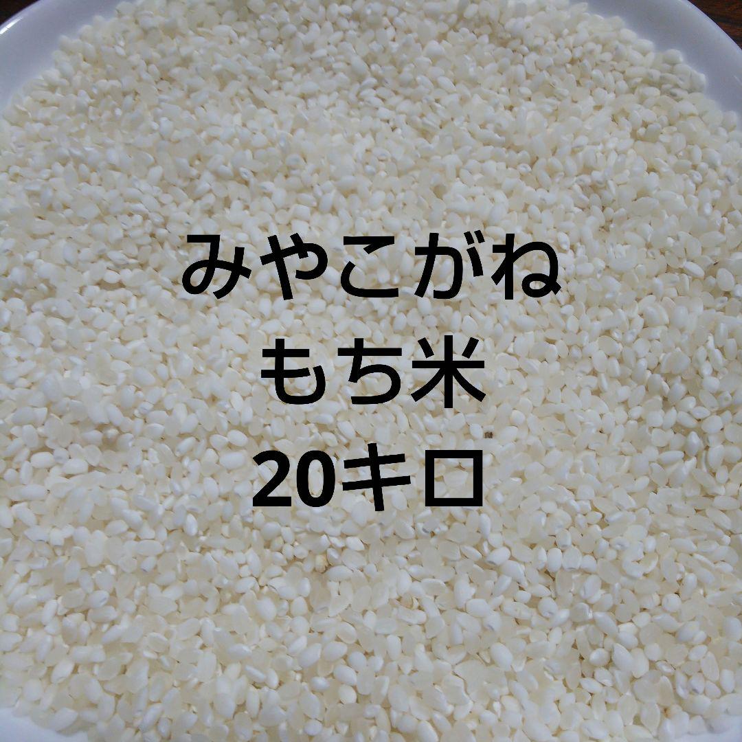 令和６年産 みやこがね もち米   20キロ 玄米 令和6年産 みやこがね もち米 20キロ 玄米（№5882-0264]粗つき