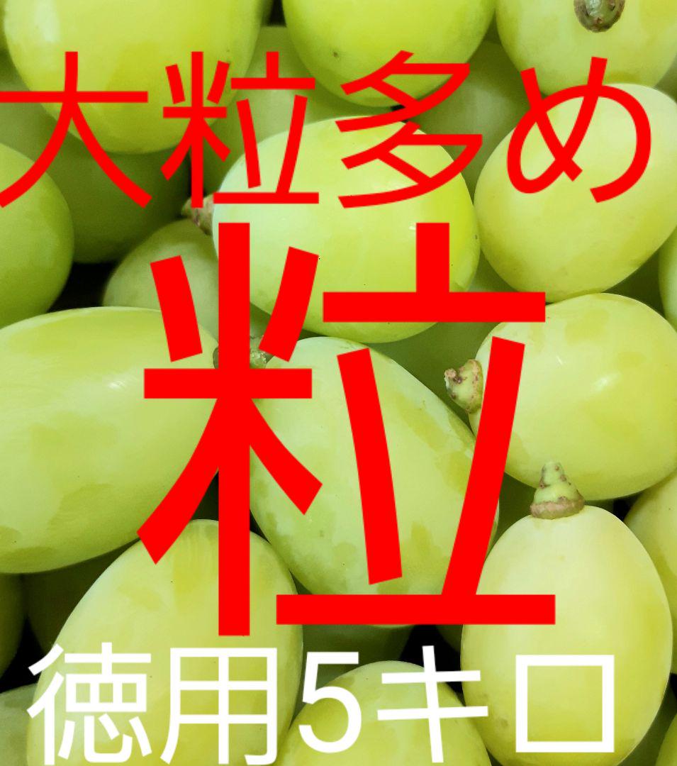 シャインマスカット大粒多め入りの、特売品の粒パック入りになります。 楽天市場】お中元 シャインマスカット ジュエルセレクション