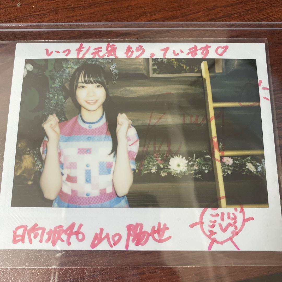 山口陽世 サイン入りチェキ （今週のおすすめ製品 日向坂46 山口