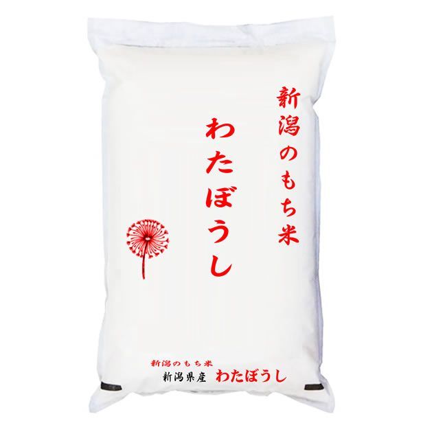 【大粒もち米】（うるち抜き２回通し）令和６年産　みやたまもち　白米29kg 令和6年度産もち米＜マンゲツモチ＞玄米/白米【無農薬・無肥料