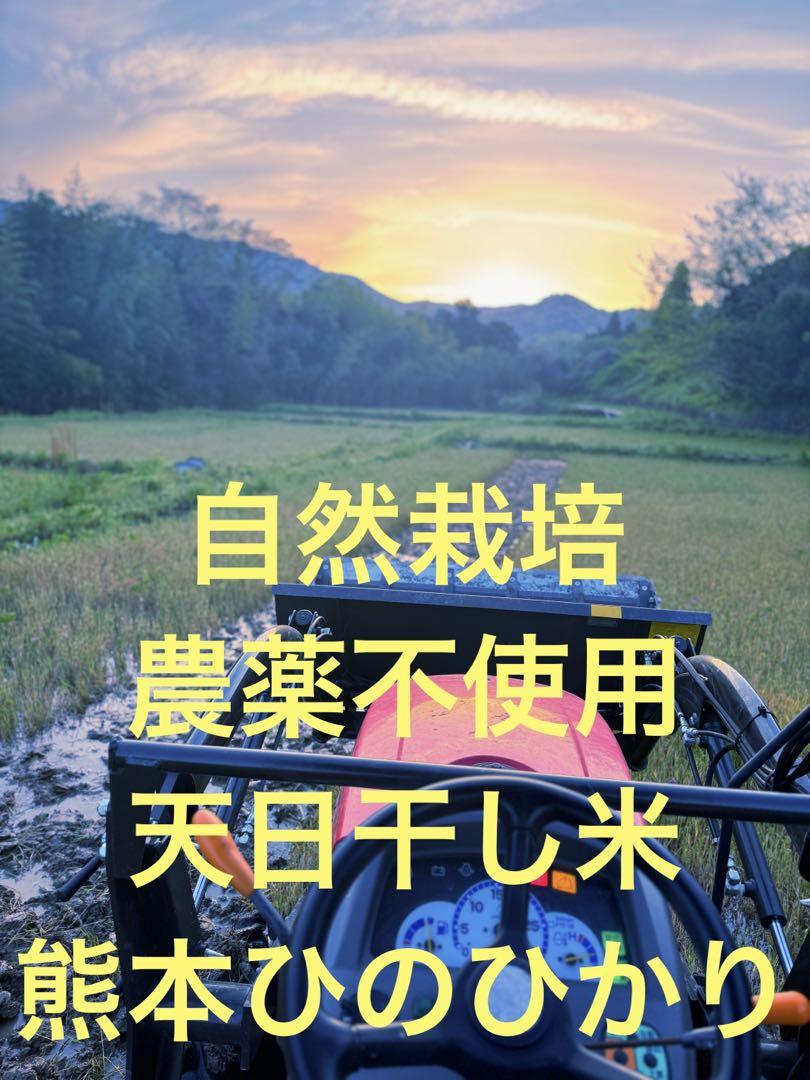 天日干し 農薬不使用 玄米 30kg 自然栽培 熊本 ひのひかり5kg