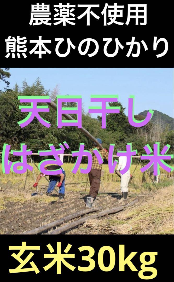 天日干し　農薬不使用　玄米 30kg 自然栽培 熊本 ひのひかり5kg 10kg 天日干し 農薬不使用 自然栽培 玄米 30kgひのひかり 玄米 5kg