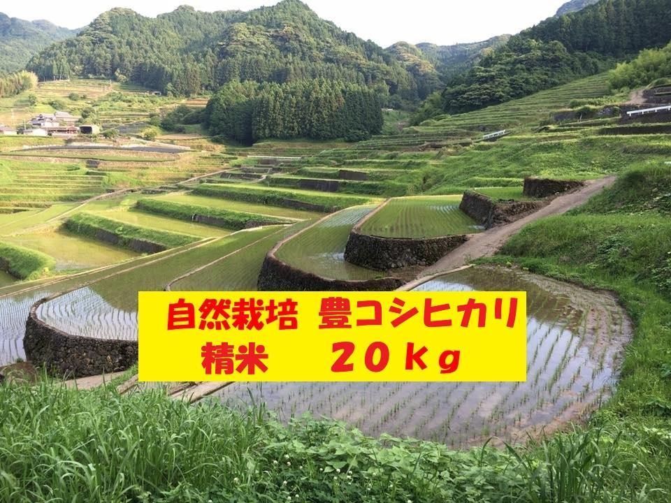 令和6年産】自然栽培「豊コシヒカリ」精米 20kg （令和6