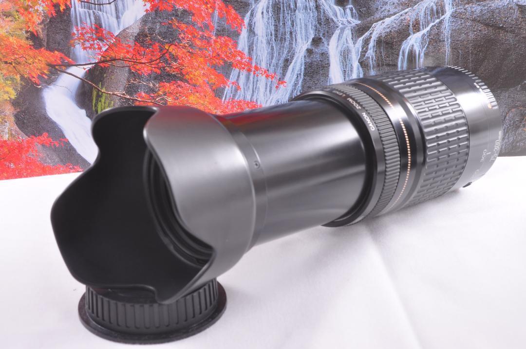 ★Canon キヤノン 望遠レンズ EF75-300mm 想い出の瞬間！#5 キャノン Canon EF 75-300mm⭐️想い出の瞬間！⭐️超望遠レンズ