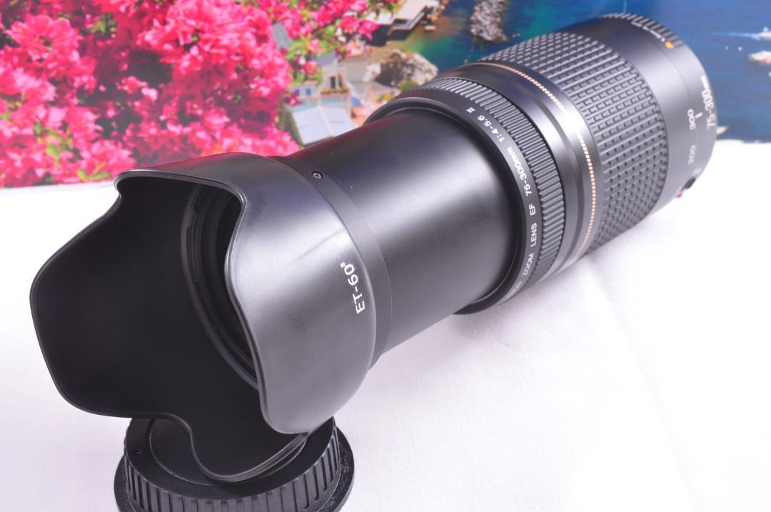 きらめく瞬間を望遠レンズで！Canon キヤノン EF75-300mm #4 きらめく瞬間を望遠レンズで！Canon キヤノン EF75-300mm #4 カメラ
