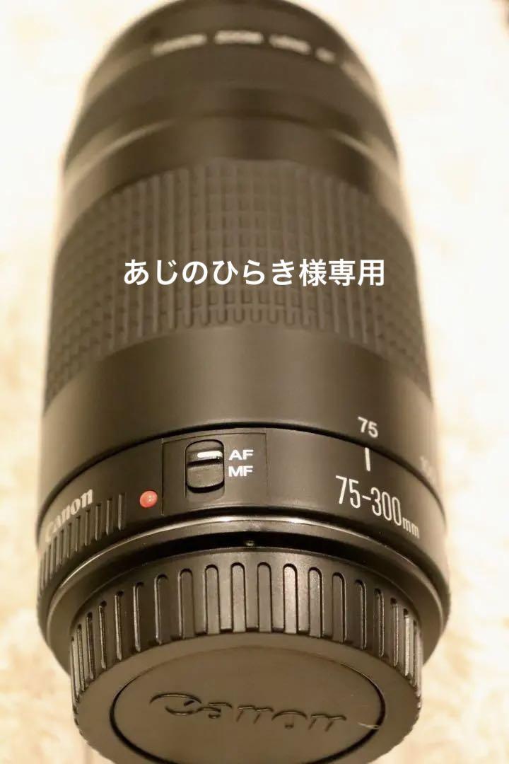 【美品】Canon レンズzoom EF 75-300 1:4-5.6 Ⅱ EF75-300mm f/4-5.6 II - キヤノンカメラミュージアム