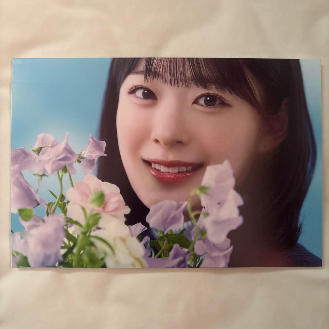 持永真奈 恋は倍速 僕が見たかった青空 僕青 発売記念当選 （僕