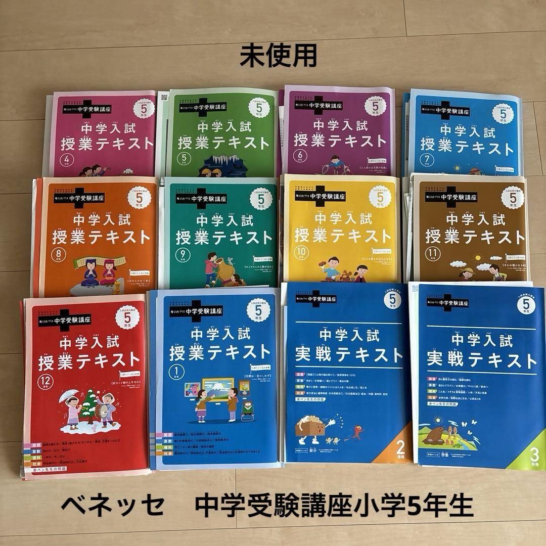 ベネッセ進研ゼミ考える力プラス中学入試実践テキストと演習ワーク11月〜3月半年分 進研ゼミ/チャレンジ】考える力プラス中学受験講座 中学入試授業