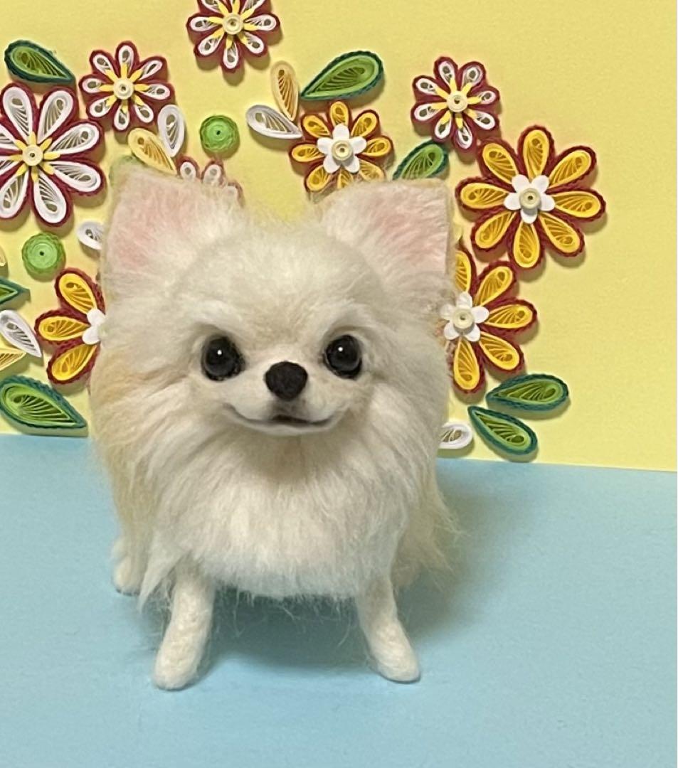 特別価格★【原画】『ディモルフォセカ』（花　植物　犬　チワワ　パピヨン　癒し） ☆羊毛フェルト☆【オーダーメイド】☆チワワ☆犬☆ぬいぐるみ