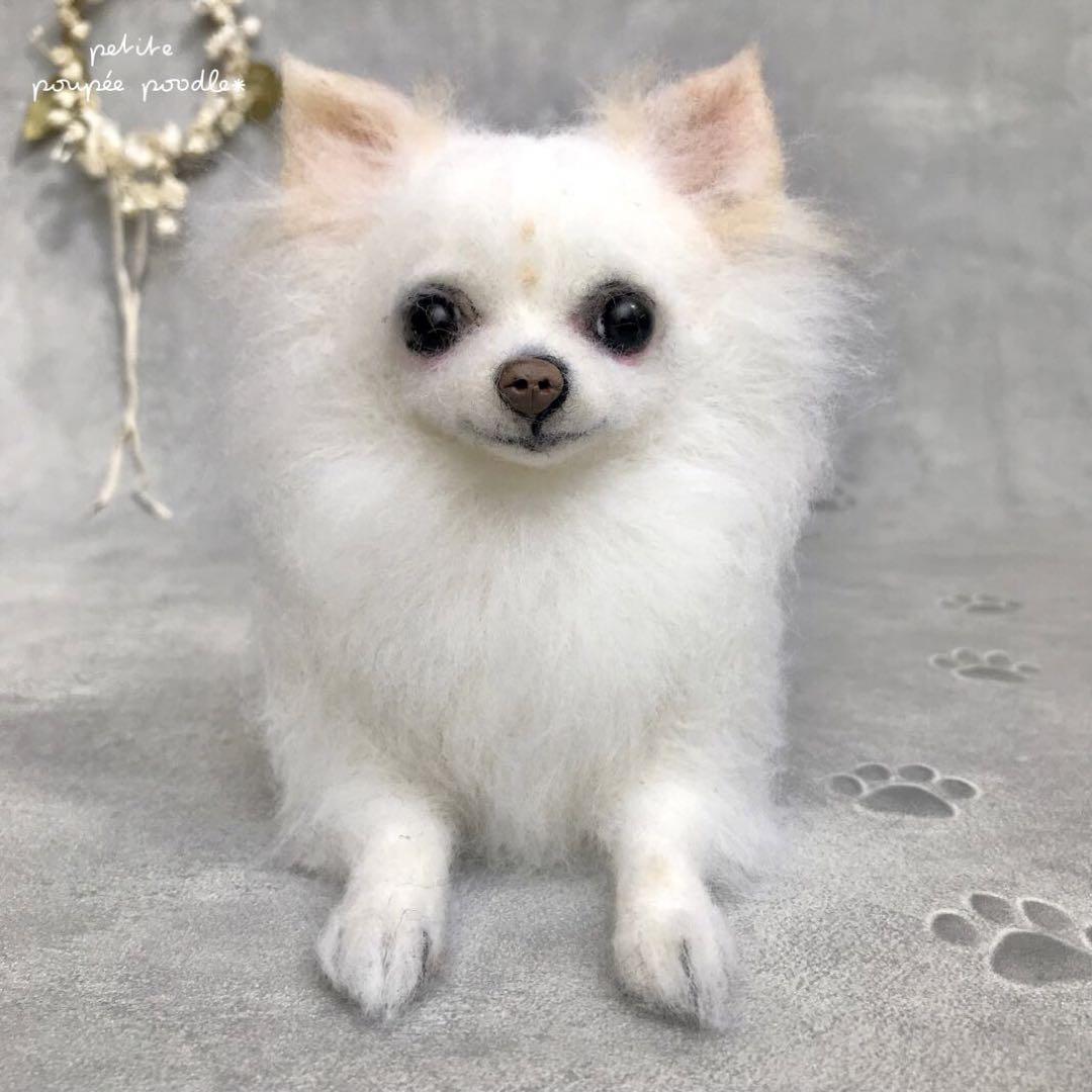 はな様　オーダー専用　羊毛フェルト　犬　チワワ　羊毛フェルトチワワ 仰向けチワワちゃん制作中〜🐶💕前足はまだ仮止めです