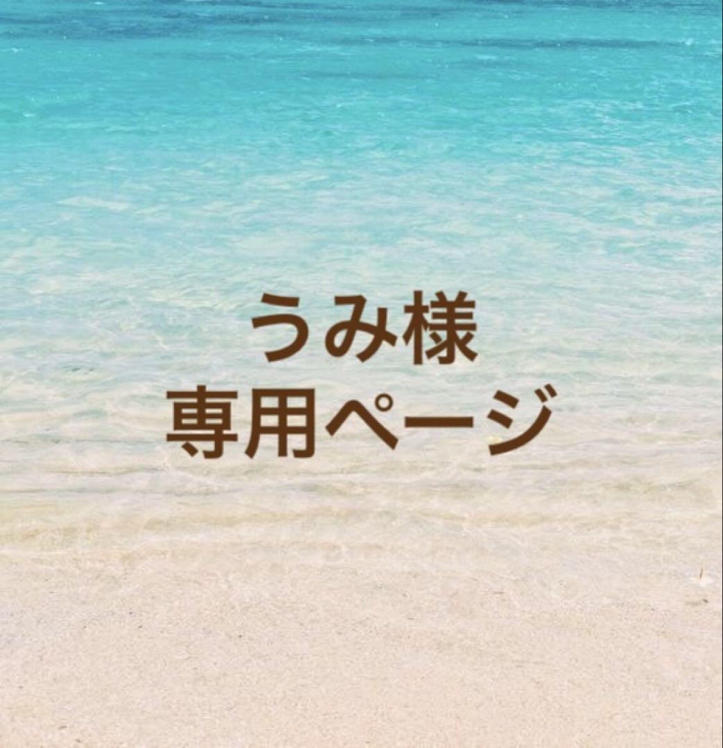 海颯さん ページ 川越氷川神社 う*み様 うみ様 専用ページ （送料無料ライン/39ショップ】 海颯