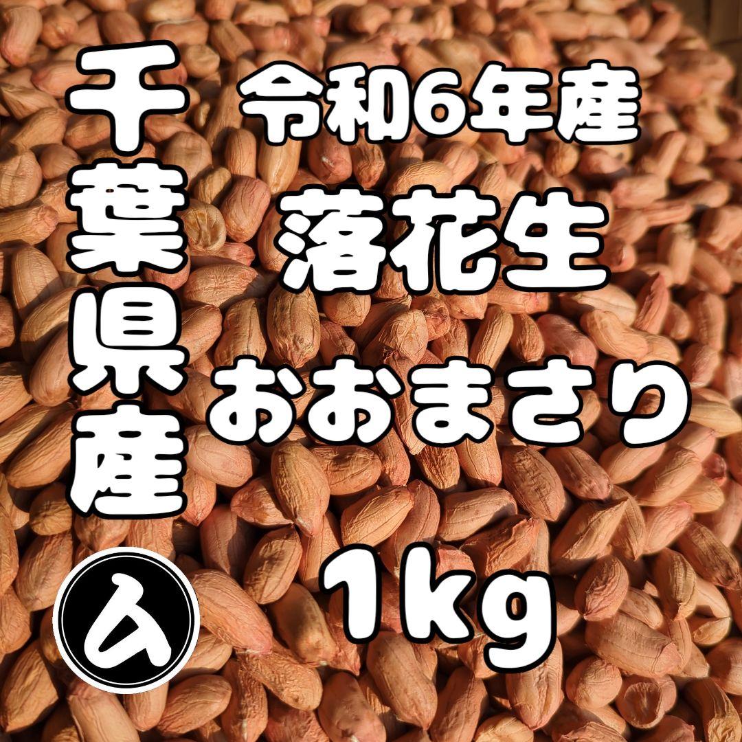 Masakadu Nakamura　千葉県産 おおまさり 10kg 手むき モロコシ様専用 千葉県産 おおまさり 10kg 手むき 乾燥生落花生