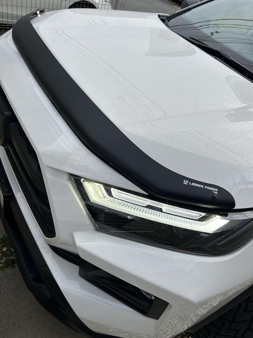 トヨタ RAV4 50系 バグガード LADDER FRAME マットブラック