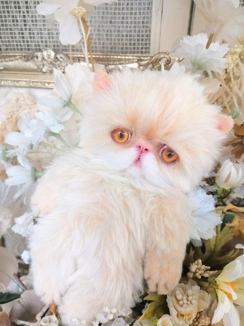 ミニミニ子猫ちゃん♡アートドール♡ぬいぐるみ♡エキゾチック♡ふわふわ♡ ポッケにゃん♡エキゾチック子猫ちゃん♡アートドール