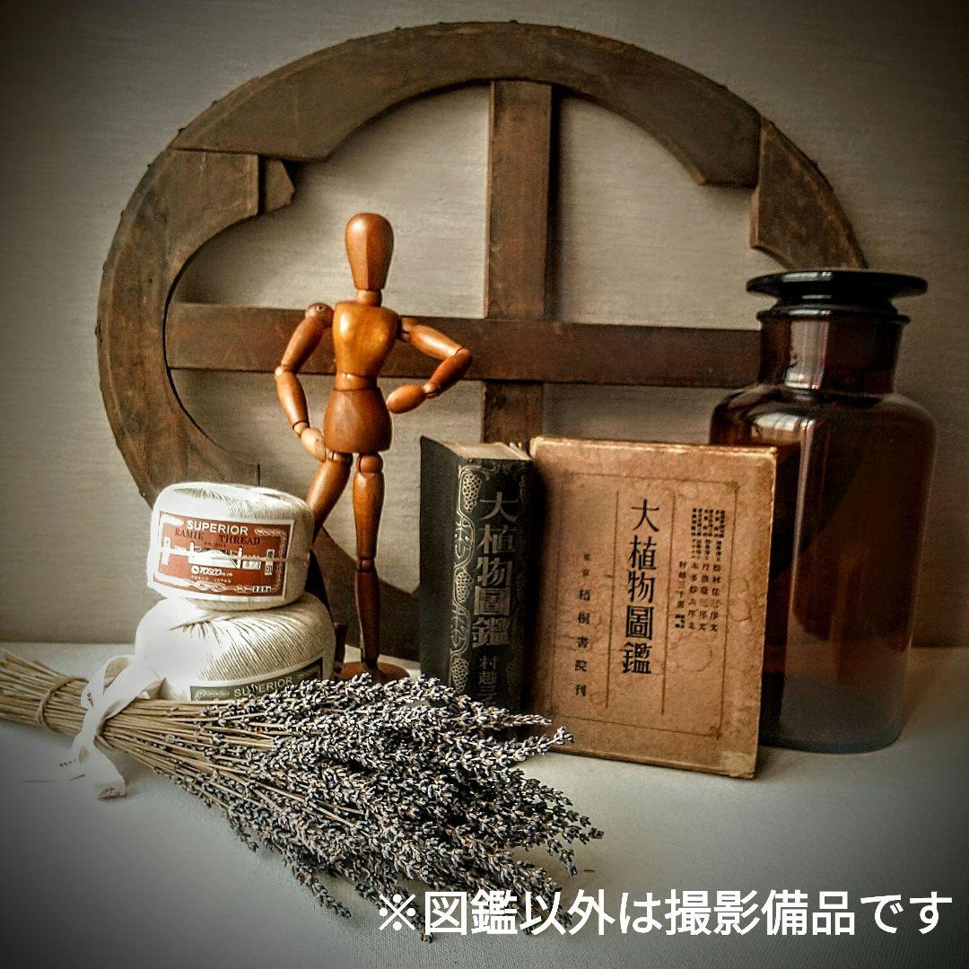 戦前・初版本】大植物圖鑑 昭和十六年 らんまん・牧野富太郎
