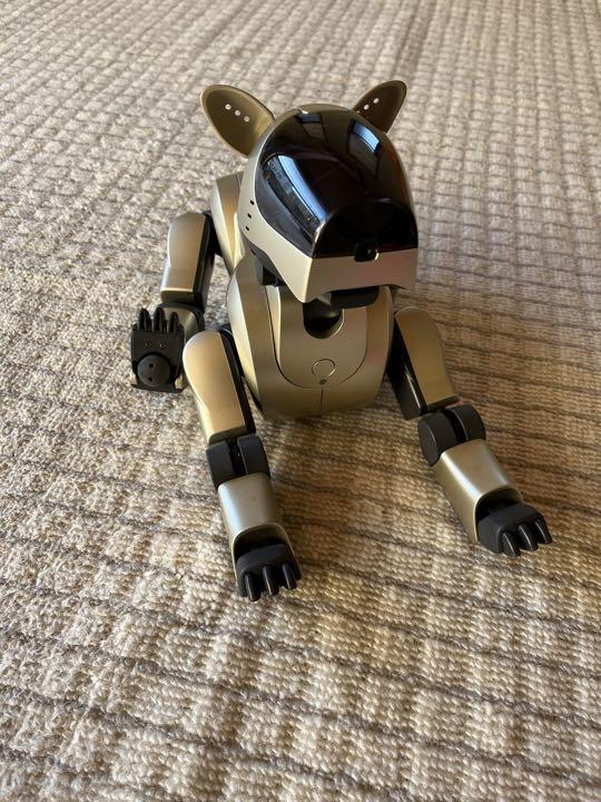 SONY AIBO ロボットペット ブラック ジャンク ジャンク】aibo ソニーのペット型ロボット (aibo)