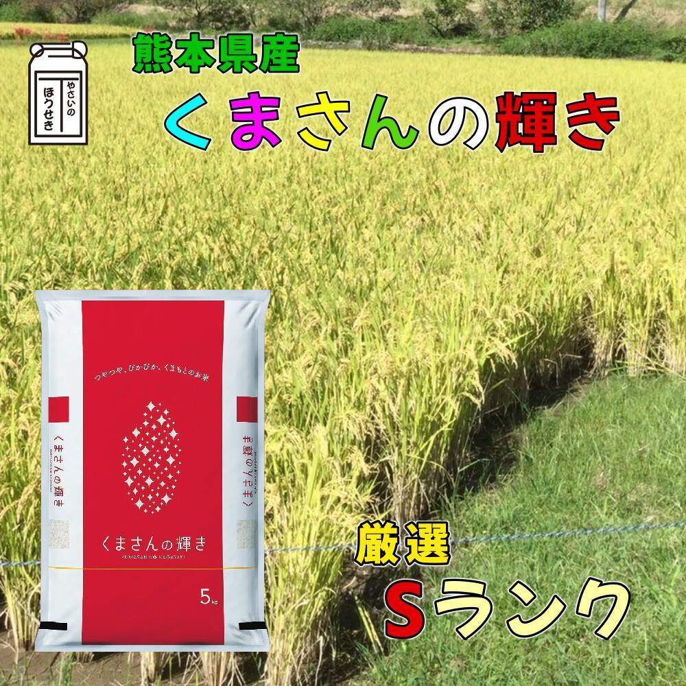 令和6年度熊本県芦北産 新米 くまさんの輝き【20kg】 最高級米【特Sランク】 令和6年産・新米】熊本県産 くまさんの輝き 5kg