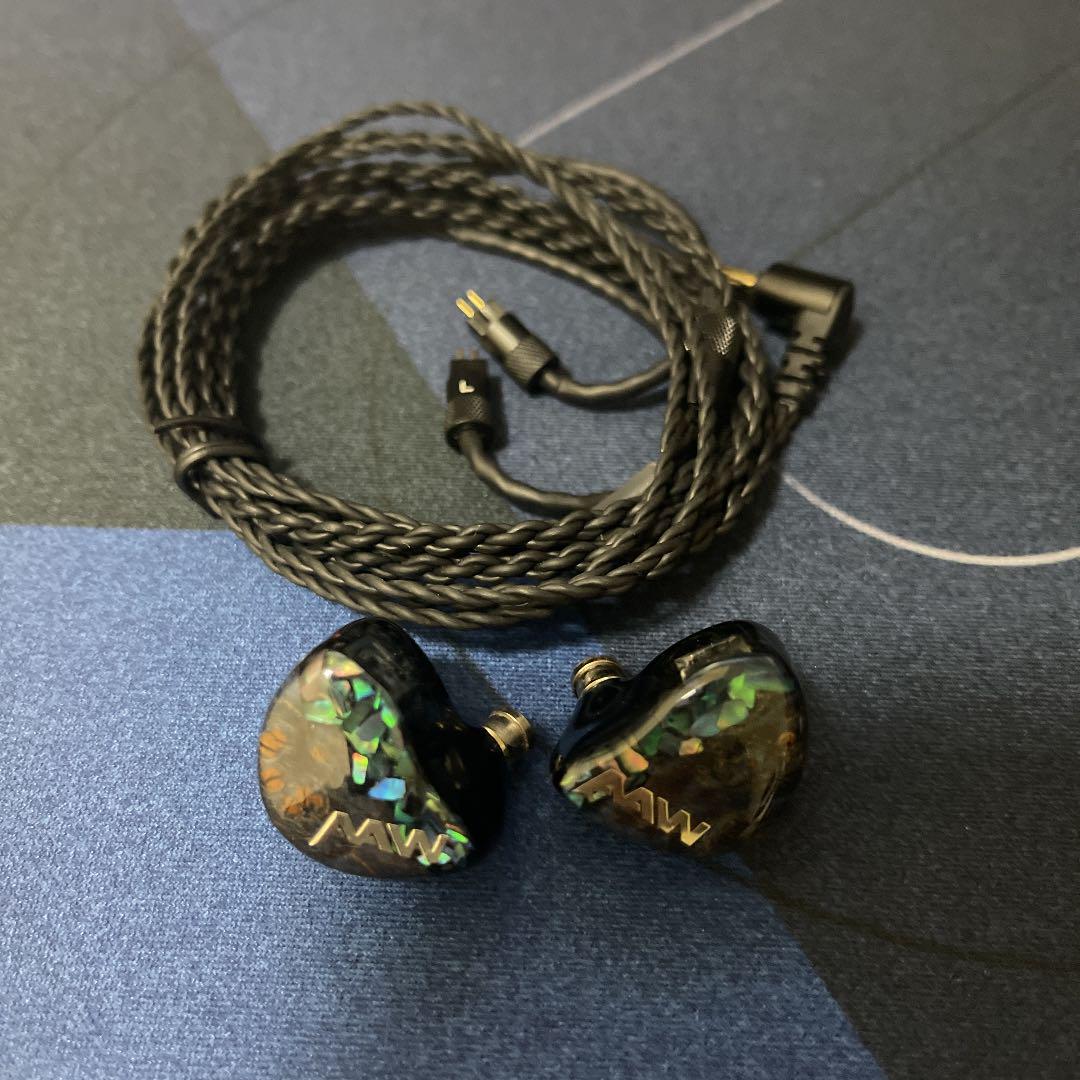 イヤホン AAW AXH 2nd-g + Silversonic MKVI 8Wire イヤホン AAW AXH 2nd-g + Silversonic MKVI 8Wire Silversonic