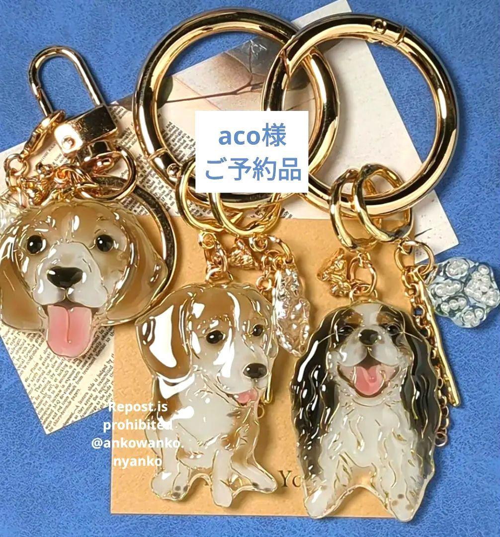 キャバリア　ankoわんこシリーズ　キーホルダー　犬　dog キャバリア ankoわんこシリーズ キーホルダー 犬