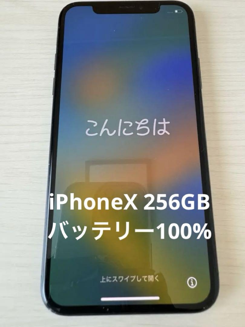 Apple - iPhoneX 256GB Docomo SIMロック解除済 バッテリー新品 iPhone X 256GB SIMロック解除済み バッテリー新品