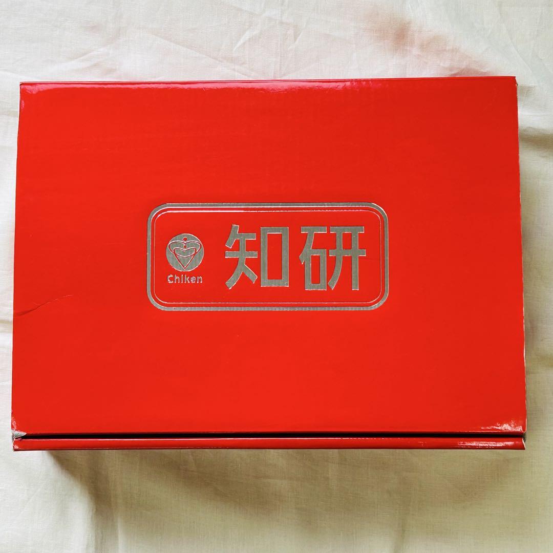 知研 知育玩具セット Sセット 6歳 7歳 （知研BOX Sコース 知能