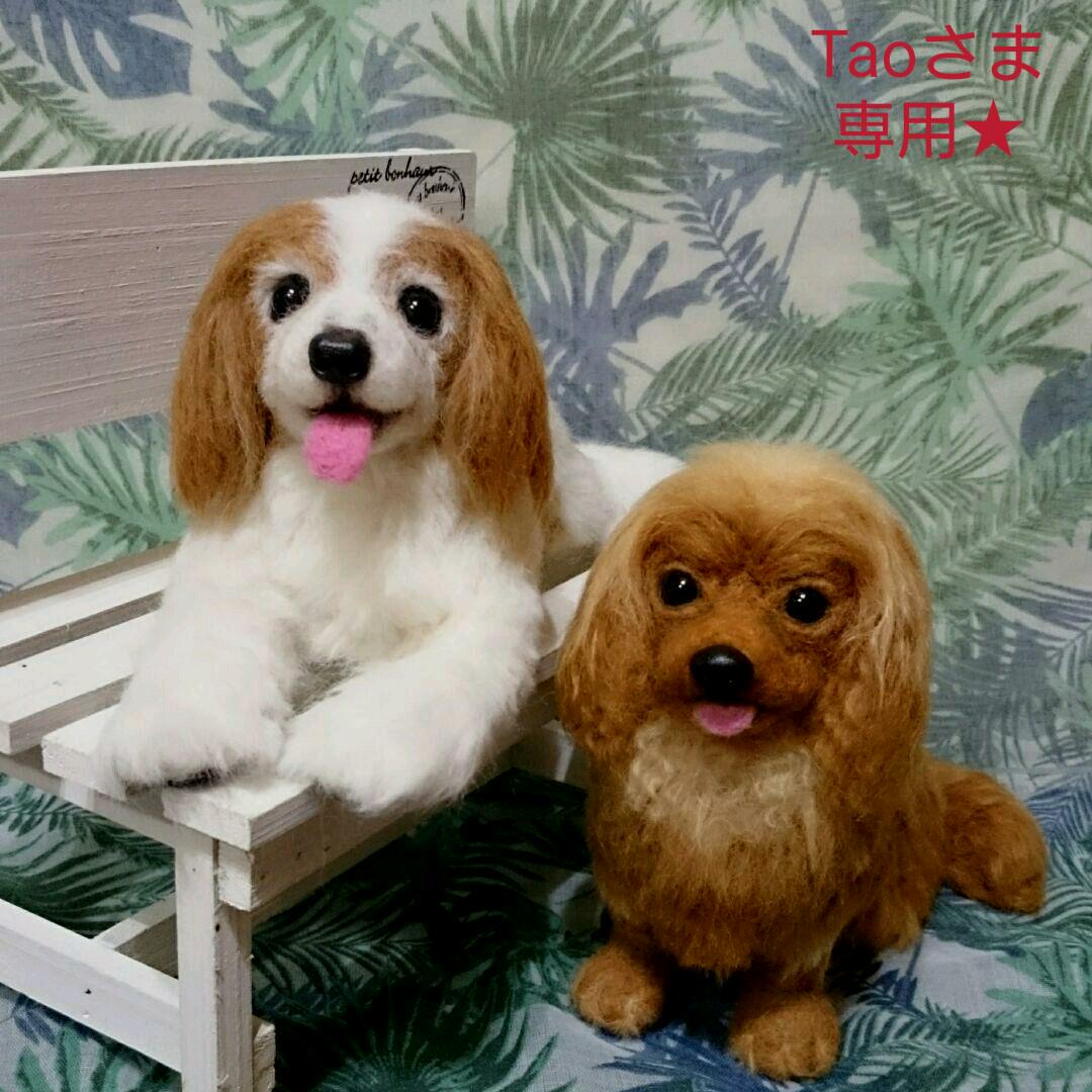 咲く花あきちゃんページ❣️キャバリアオーダー犬羊毛フェルト maxresdefault.jpg?sqp=-