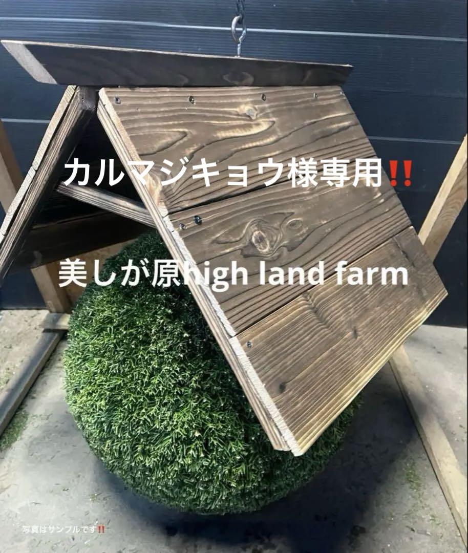 杉玉【屋根付き】④ 杉玉、屋根(白木作り）付き 約30cm