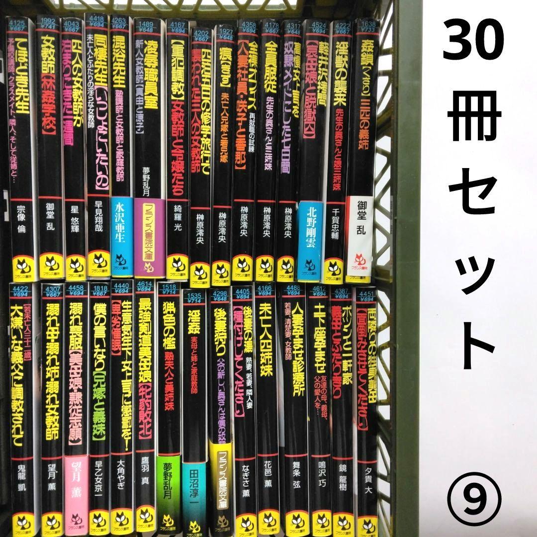 ⑨フランス書院文庫【てほどき先生】他 小説全30冊セット （待つ