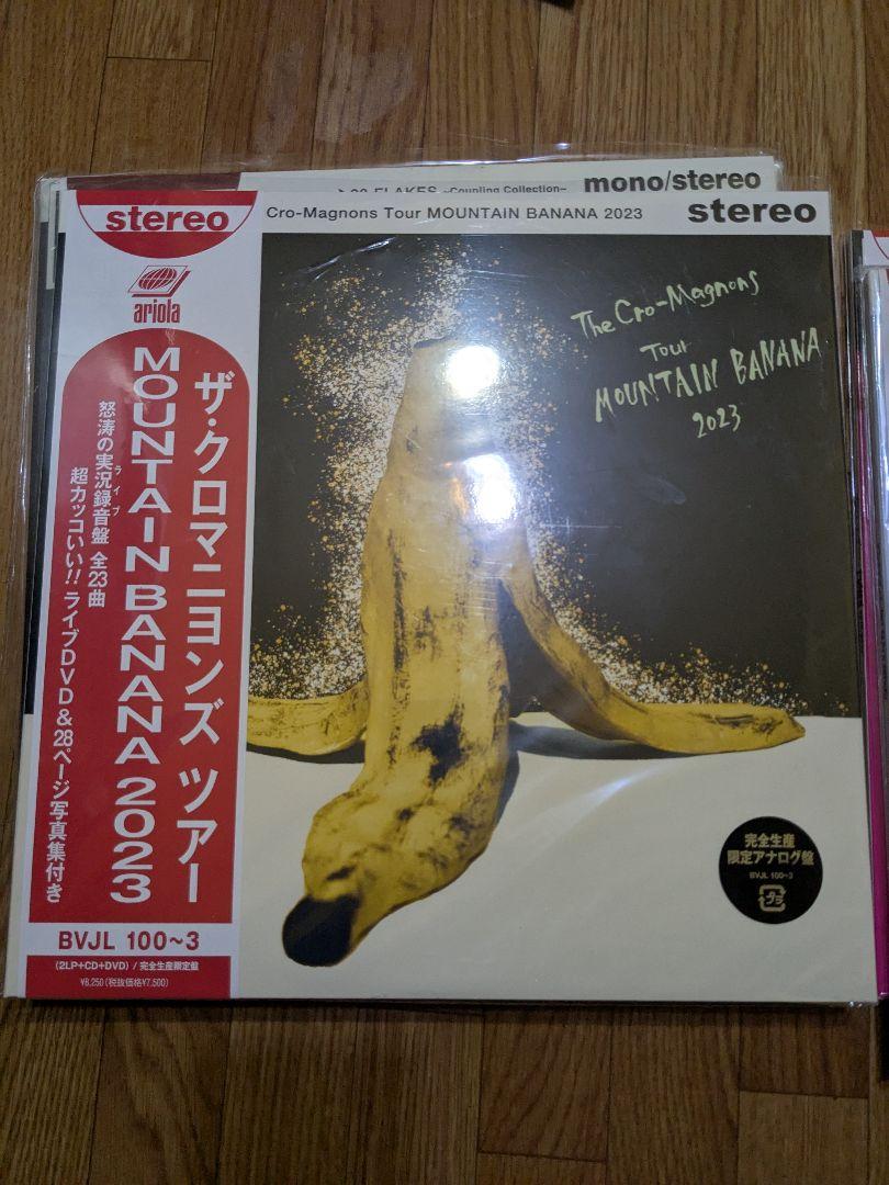 完全生産限定版 クロマニヨンズ マウンテンバナナ レコード CD DVD 2025年最新】クロマニヨンズ マウンテンバナナの人気アイテム