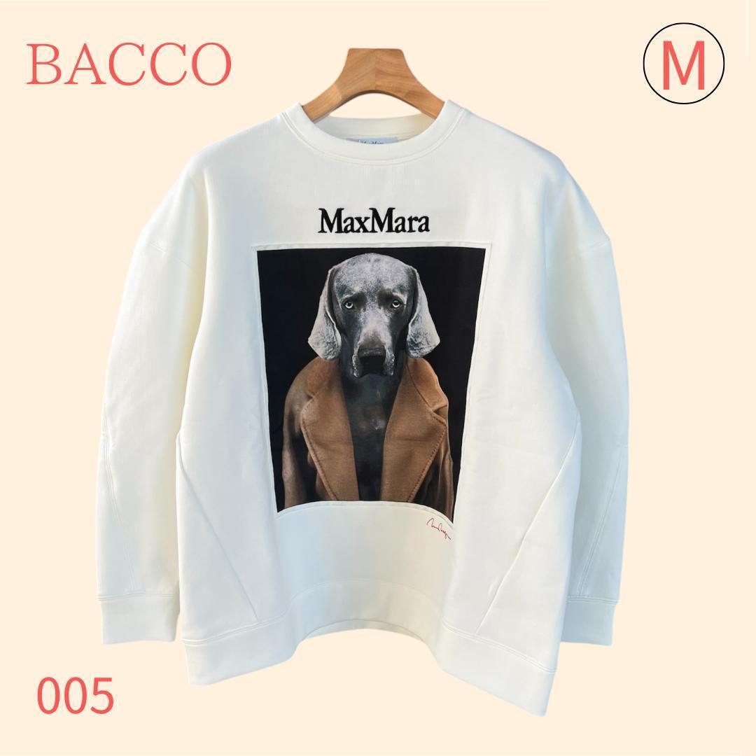 Max Mara BACCO バッコ コットン ジャージー スウェット Mサイズ