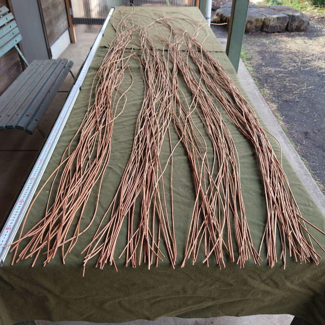 あけびの蔓　アケビツル 青森県岩木山採取 あけび蔓 70cm～150cm 1kg - メルカリ