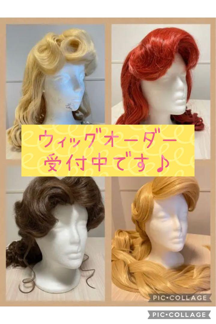 ☆ディズニー ハロウィン ウィッグ オーダー☆ Dハロ プリンセス