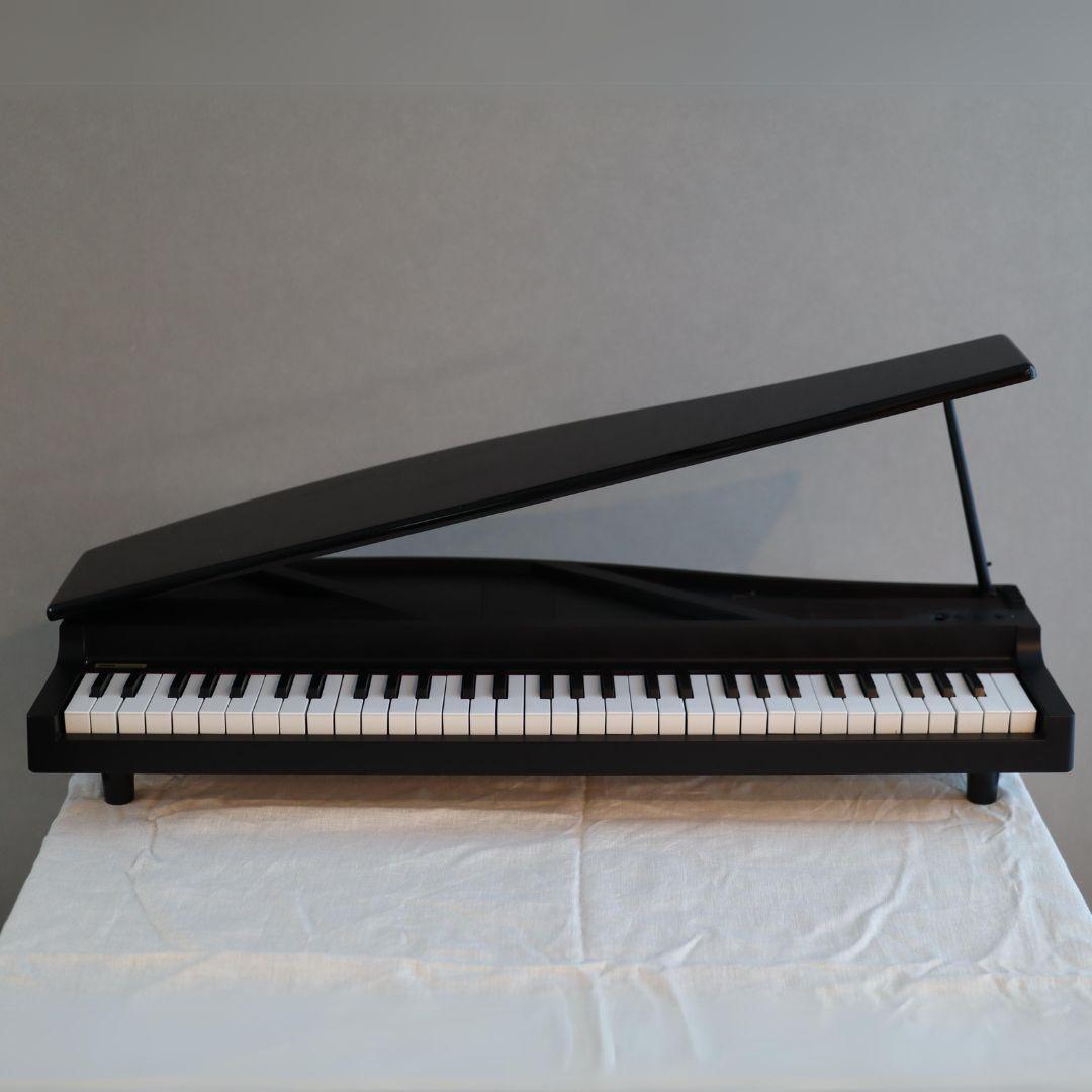 KORG マイクロピアノ　ブラック 電子ピアノ キーボード 電子ピアノ KORG MICROPIANO ブラック マイクロ