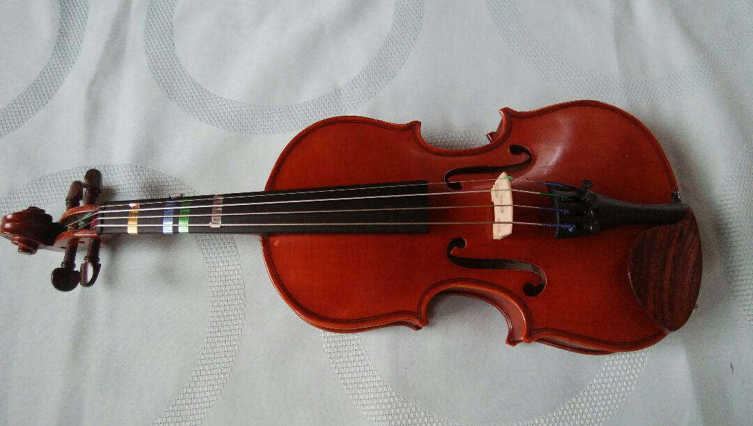 インストマン　バイオリン　1/10 バイオリン1/10 （Eastman SVL80セット 1/10 バイオリン初心者