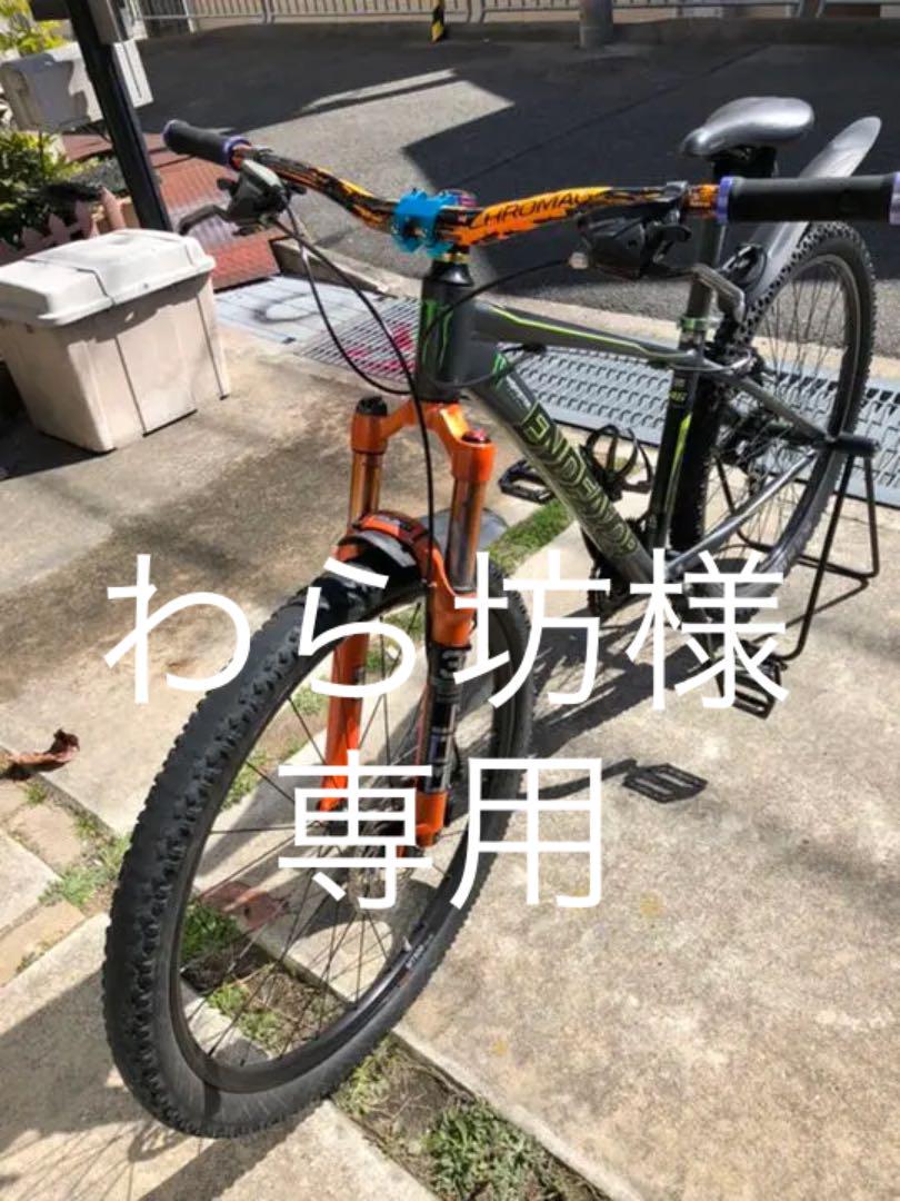 マウンテンバイク ENDEAVOR （マウンテンバイク エンデバー