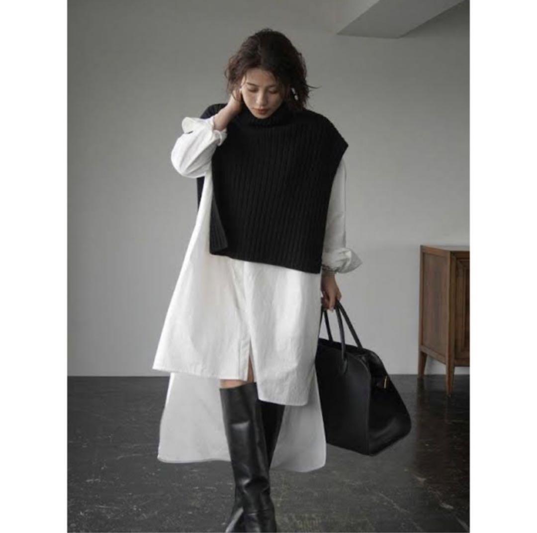 11/19限定価格※ETRE TOKYO／バックデザインタートルニットベスト