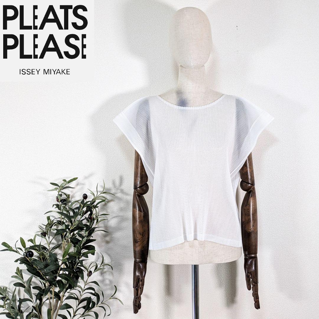ISSEY MIYAKE メッシュプリーツカットソー PLEATS PLEASE メッシュ プリーツ カットソー 半袖 3 ホワイト
