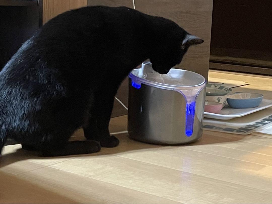 ワンにゃん＆水素水［新品・未使用品］19,800円 ワンにゃん＆水素水 ペット用水素自動給水器 新鮮 水素水 高濃度
