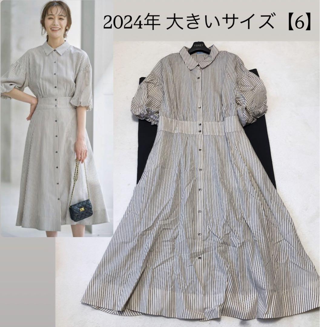 組曲！2024！美品！大きいサイズ【6】ボリュームスリーブシャツワンピース 組曲 ワンピース 「WEB限定カラーあり」ボリュームスリーブ