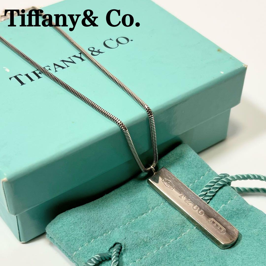 Tiffany& Co. シルバーネックレス ナローバー ペンダント 925. Tiffany& Co. シルバーネックレス ナローバー ペンダント 925