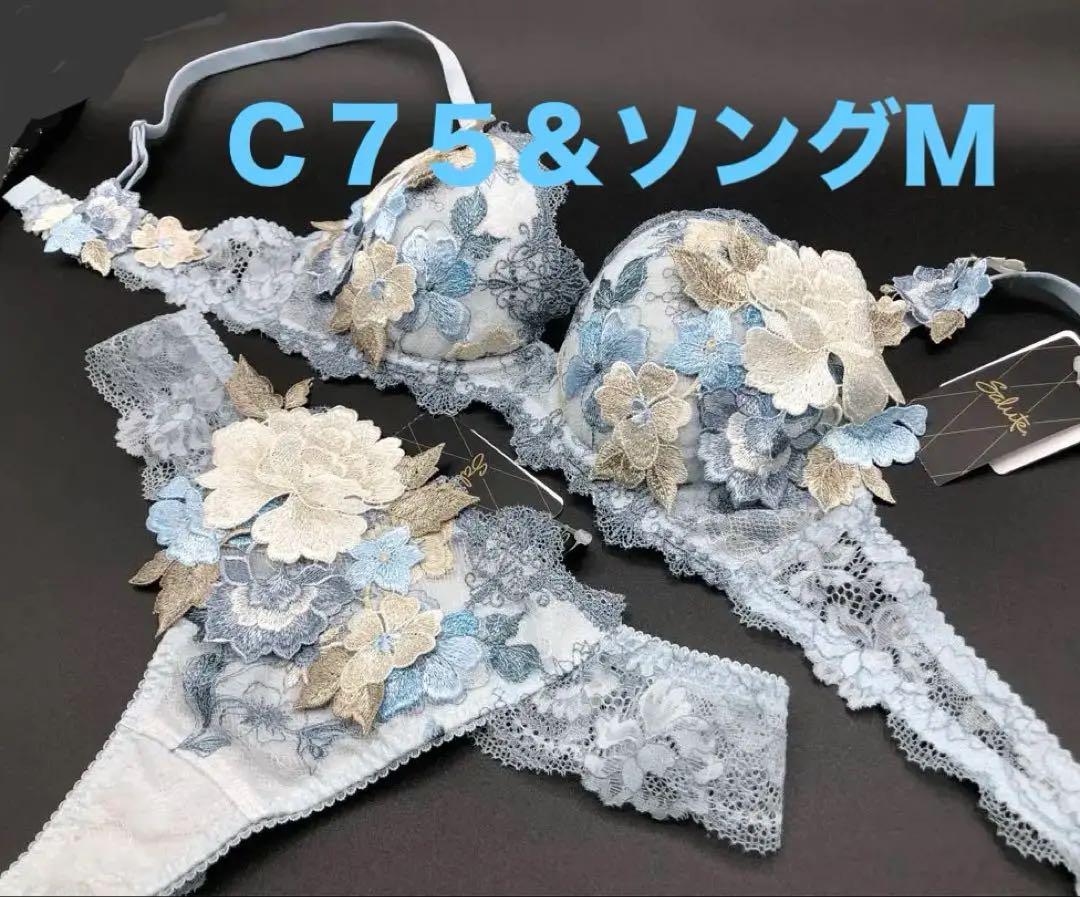 サルート C75 ソング M ワコール 59G SX フォークロア 新品タグ