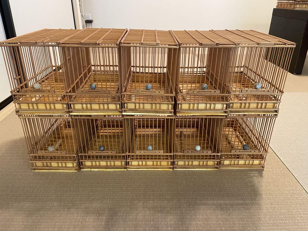 品評会用 桐箱付き 4点 30㎝ 竹籠 メジロ 鳥 鳥かご 状態良好 鑑賞籠 篭 鳥かご 鳥籠 とりかご 竹製 メジロ籠 めじろ箱 飼育ゲージ 昭和