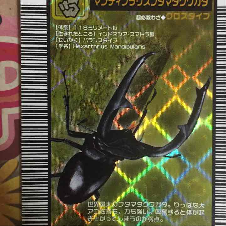 ムシキング　旧カード 激レア)旧ムシキングカード - メルカリ